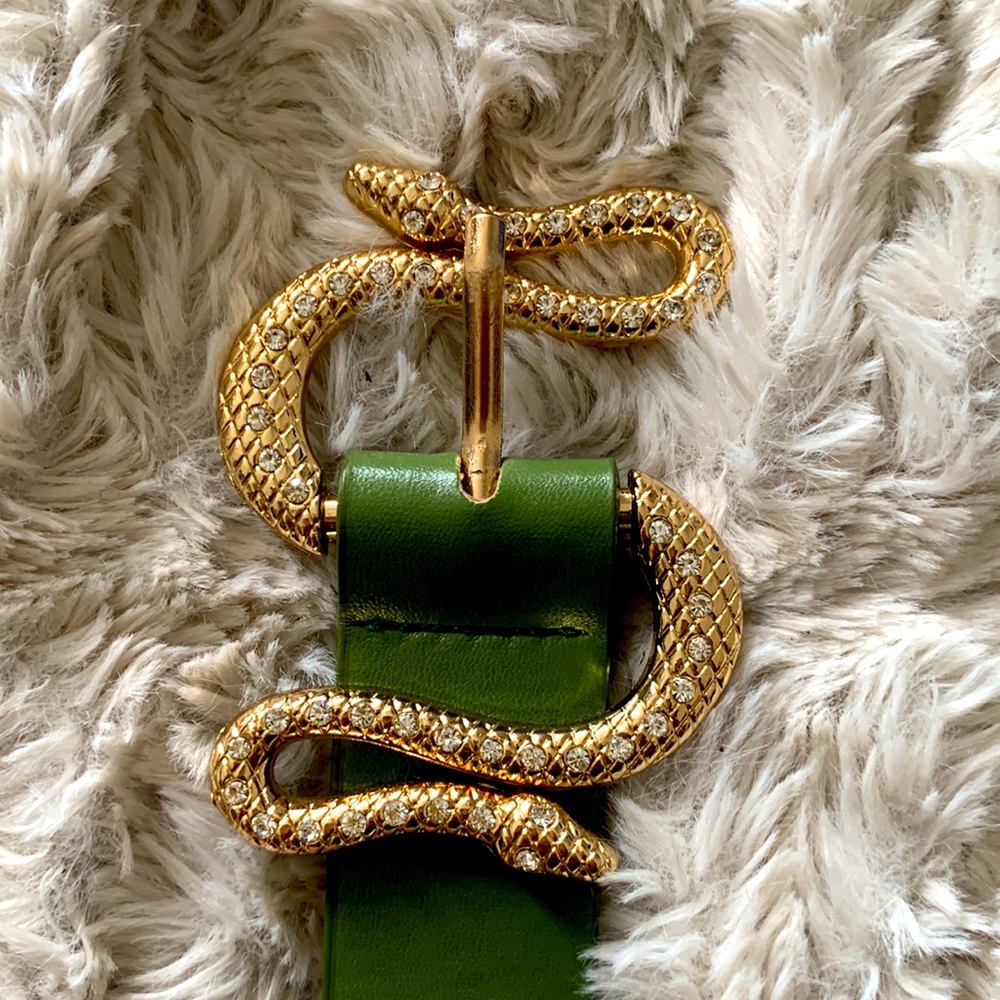 Snake belt
